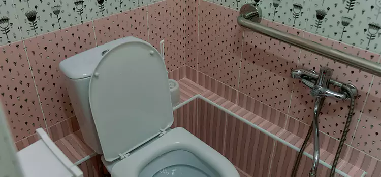 Meeting Diverse Needs With Accessible Restroom Solutions in Pearland, TX